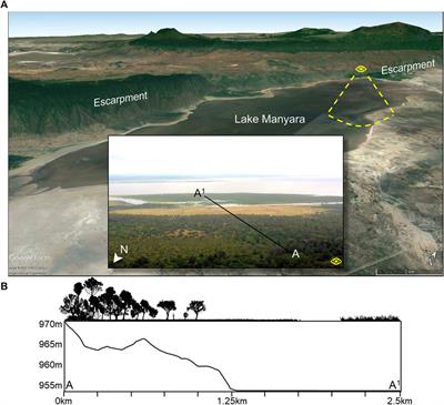 Microhabitat Variability in Human Evolution